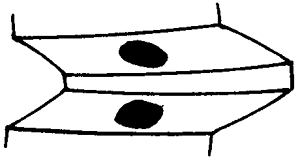 FX݆͜(zhn)pX݆g(sh)Z(y)ӹ݆X|zԇ(yn)
